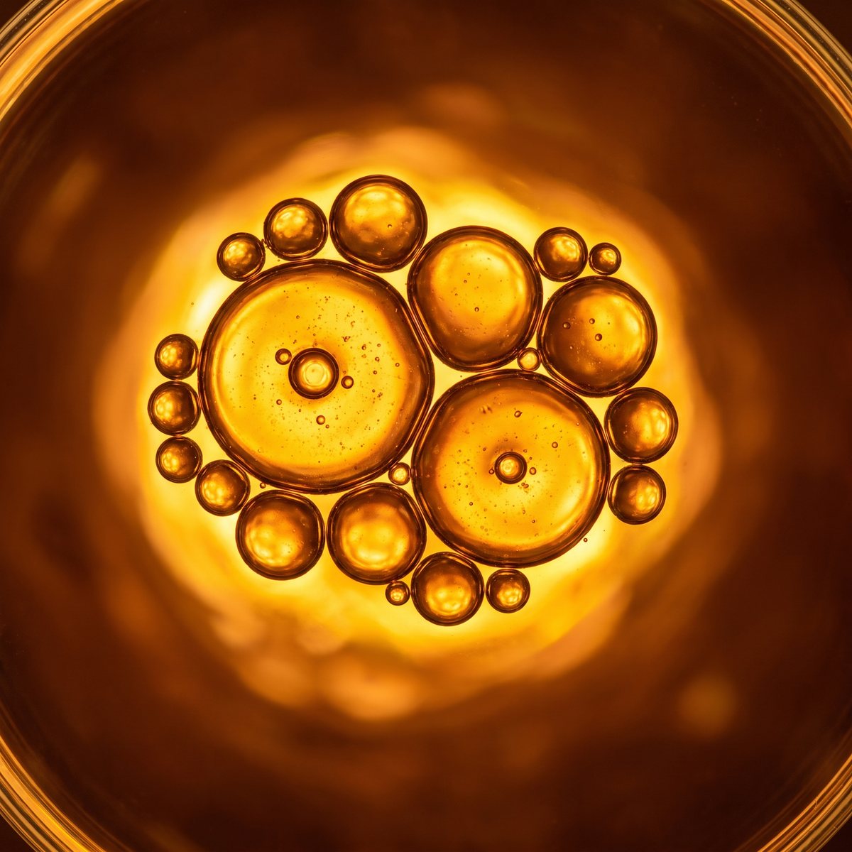 Golden oil droplets macro