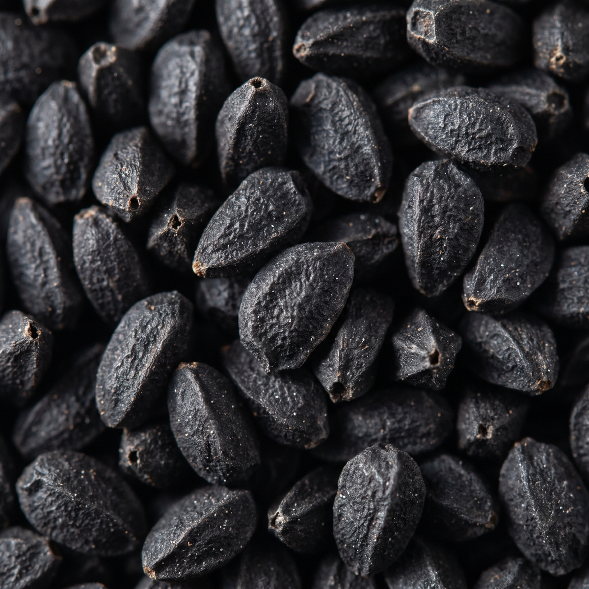 Black nigella sativa seeds macro