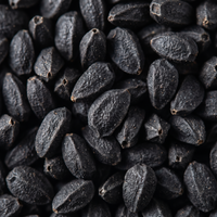 Black nigella sativa seeds macro