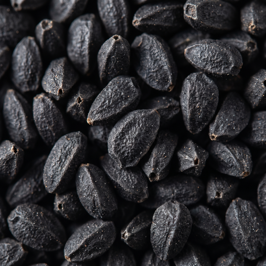 Black nigella sativa seeds macro