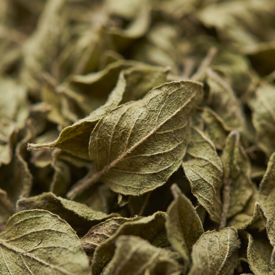 Dried oregano leaves macro