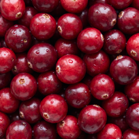 Fresh cranberries macro