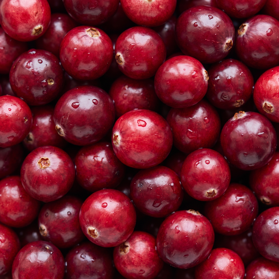 Fresh cranberries macro