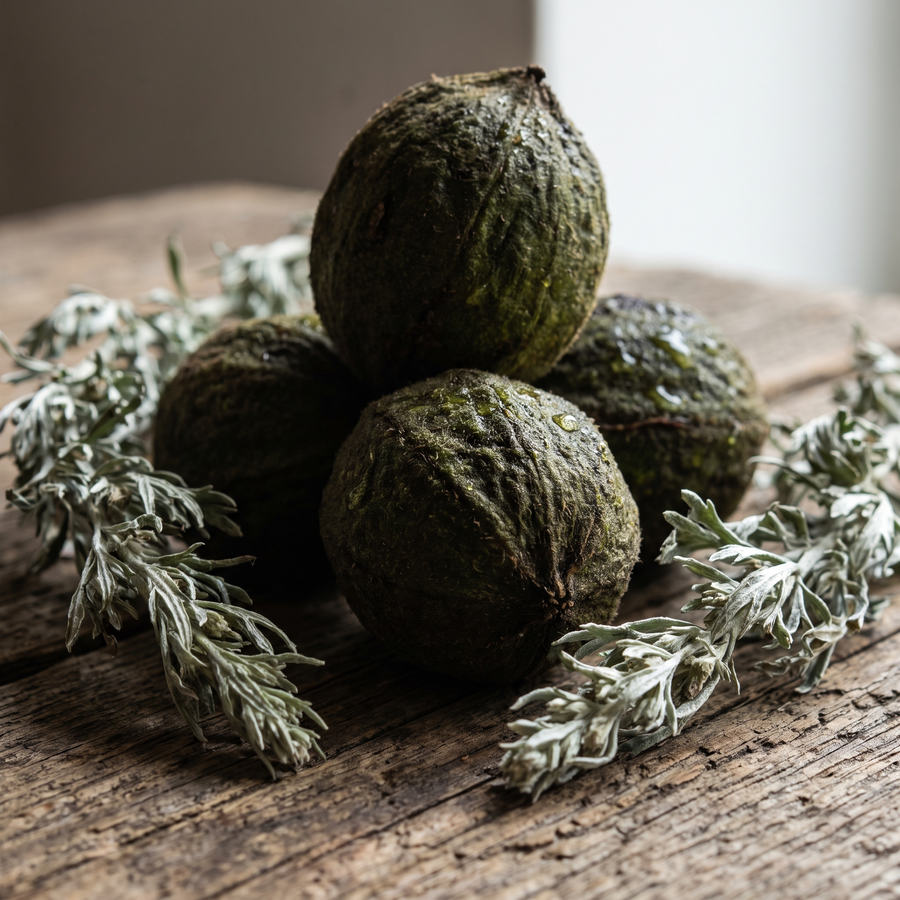 Black walnuts and wormwood macro
