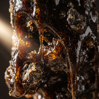 Shilajit resin macro